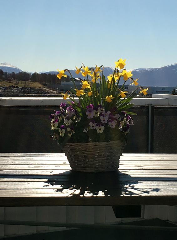 Ytterland Apartments Alesund Luaran gambar
